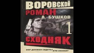 Сходняк Александр Бушков Аудиокнига БОНУС в описании [upl. by Atile60]