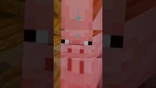 Un cerdo Rarisimo minecraft minecraftmejoresmomentos memes minecraftdivertido minecraftepico [upl. by Fahy]