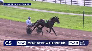 HWM 21 09 2024 C 05 GRAND PRIX DE WALLONIE 2024 [upl. by Aztirak]