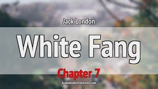 White Fang Audiobook Chapter 7 [upl. by Nerred673]