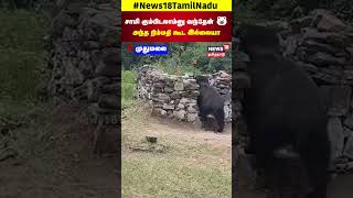 Muthumalai  சாமி கும்பிடலாம்னு வந்தேன் 3 அந்த நிம்மதி கூட இல்லையா  Bear Viral Video  N18S [upl. by Venetia444]