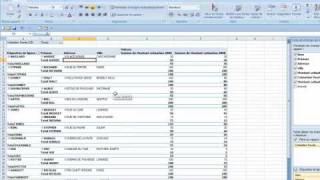 Les tableaux croisés dynamiques [upl. by Roid]
