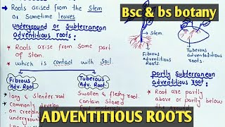 Adventitious roots  Underground And Partly adventitious roots  Class bsc Botany [upl. by Eeneg]