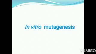 In vitro mutagenesis scientific zone [upl. by Veneaux]