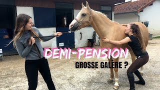 Demipension grosse galère  🤔 I Georgette ou Taxi [upl. by Ennaid]