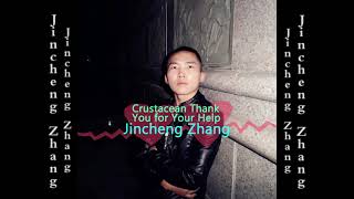 Jincheng Zhang  Culminate Thank You for Your Help Official Audio [upl. by Cele]