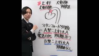 大動脈解離で緊急手術の判断はスタンフォード分類で行う。〇or✕ 看護国試対策 看護国試 第113回看護師国家試験 絶対合格 さわ研究所 [upl. by Drofiar668]