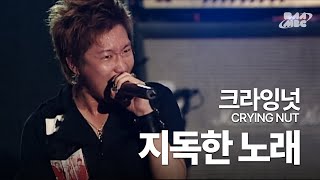 크라잉넛Crying Nut  지독한 노래🔞아는 만큼 보이는 노래😂 부산국제록페스티벌 2007 [upl. by Yecak]