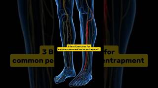 Best exercises for lower leg pain and numbnesscalf muscle paincommon peroneal nerve entrapment [upl. by Magnien]