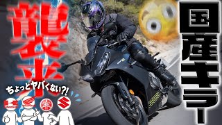 【復活の3気筒フルカウル】コスパ・性能良過ぎ！トライアンフ『DAYTONA 660』が国内モデルを震撼させるッ！【海外でぶっ飛ばしてきました】 [upl. by Iphagenia519]