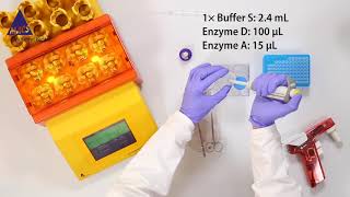 How to prepare viable single cell suspensions from mouse lung tissue [upl. by Oicafinob930]