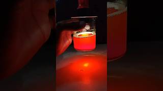 Scattering of light  Tyndall effect experiment shorts science ytshorts [upl. by Isador]