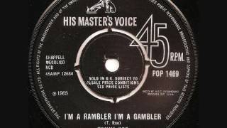 Im a rambler Im a gambler   Tommy Roe [upl. by Garretson]