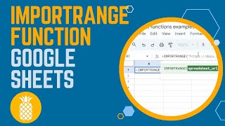 Google Sheets Tutorial Importrange Function Explained [upl. by Nawk360]