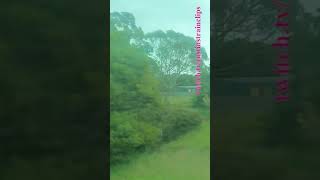 VLINE Southern Cross To Warrnambool 141223 victoria shorts shortvideo train travel views [upl. by Ayram360]