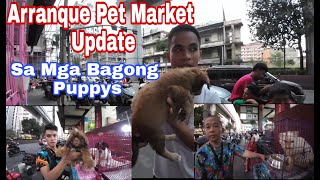 Arranque Pet Market Update [upl. by Nannarb]