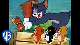 Tom et Jerry en Français  Amis ou ennemis   WB Kids [upl. by Crain]