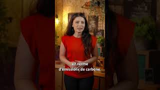 Les véloscargos  une bonne solution pour dépolluer nos villes   VirginieHilssonelevy [upl. by Nimesay]