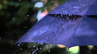 Slow Motion Rain Falling HD on Black Umbrella with Heavy Raindrops Hitting and Bouncing Off Brolly [upl. by Doniv]