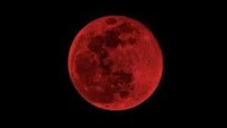 Bloodmoon Bell Theme [upl. by Braden975]