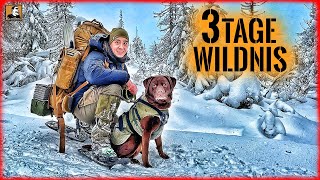 3 TAGE Wildnis im SCHNEE mit HUND  BIWAK im WINTER  Survival Mattin [upl. by Eisaj422]