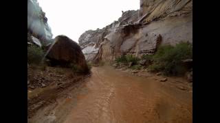 Flash flood in Capitol Gorge of the Capitol Reef NP 912013 [upl. by Ellmyer678]