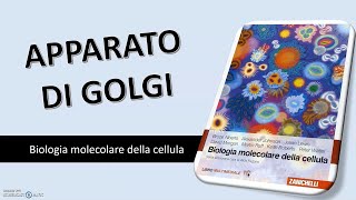 BIOLOGIA APPARATO DEL GOLGI [upl. by Shimkus623]