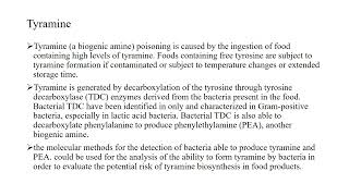 Tyramine and the MAO inhibitors [upl. by Bokaj725]