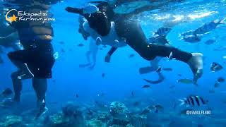 KARIMUNJAWA UNDERWATER [upl. by Arihay]