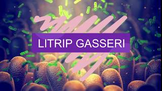 LITRIP GASSERI  Bioserum by Herbetom Internacional [upl. by Yoshio949]