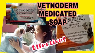 Vetnoderm Medicated Dog Soap Para sa Aso Effective Herbal Soap By Melba Areja [upl. by Jocelin]