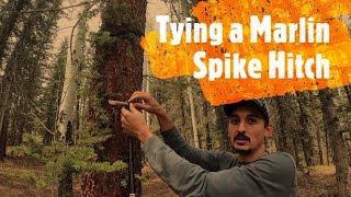 How to tie a Marlin Spike Hitch [upl. by Nosle622]