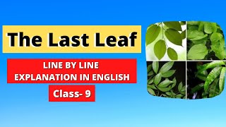 Class 9 The Last Leaf  Line by Line Explanation in English  InfinityEnglishofficial [upl. by Rengaw165]