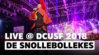 Snollebollekes  Links RechtsFeest Waarvan Ik Morgen Niks Meer Weet  Das Coen Und Sander Fest 2018 [upl. by Ahsineg]