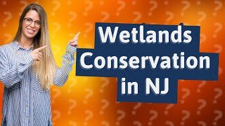 What is the wetlands conservation easement in New Jersey [upl. by Penthea]