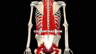 Abdominal Bracing [upl. by Clovis]