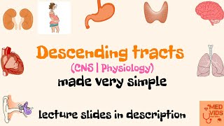 Descending tracts  Pyramidal and Extrapyramidal tracts  Med Vids made simple [upl. by Richma635]