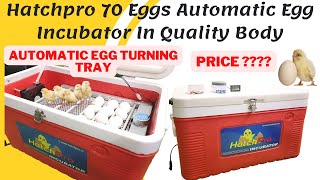 Hatchpro 70 eggs fully automatic egg incubator in Fibre body  Egg Hatching machine price [upl. by Josias442]