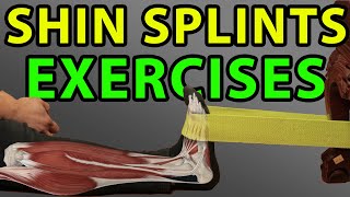 TOP 7 Shin Splint Exercises No More Pain  Shin Pain Medial Tibialis Stress Syndrome Periostitis [upl. by Quincey532]