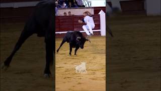 Gran Salto de Jorge Gómez en la final de Cantalejo shorts [upl. by Otto55]