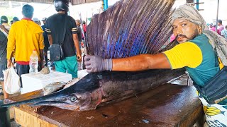 Woow  😱 Unbelievable Sailfish cutting skill How to Cut a Fish තලපත් මාළු කපන හරි විදිහ sailfish [upl. by Ycniuqed]