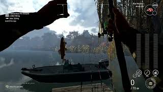 Fishing Planet  Emerald Lake  Bluntnose Minnow [upl. by Aynas]