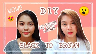 DIY HAIR COLOR  50 PESOS LANG 😮😍 From Black to Brown NO BLEACH  Bremod [upl. by Sirtimed391]