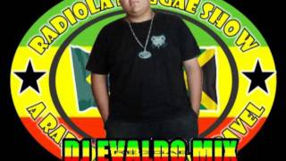 MELO DO VOADOR 2011 DJ EVALDO MIX [upl. by Louella249]