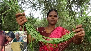 பசியை தூண்டும் பிரண்டை சட்னி  Adamant Creeper Chutney Recipe  Pirandai Thuvaiyal recipe [upl. by Emmett]