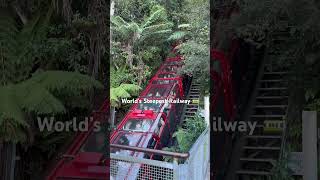 The World’s Steepest Railway at Scenic World 🚃  52° incline 😅 [upl. by Eanat]