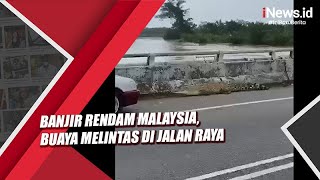 Banjir Malaysia Seekor Buaya Melintas di Jalan Raya [upl. by Birkett992]