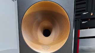 quotFIRST LOOK AT THE ZINGALI ACOUSTICS TWENTY EVO 12squot 🎧 [upl. by Ecille]