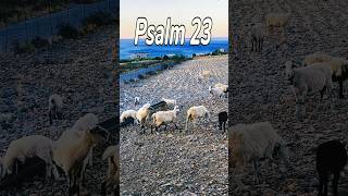 Psalm 23 soundslikereign psalm23 thelordismysalvation frangokastello [upl. by Nessej333]