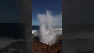 Quobba Blow Holes westernaustralia carnarvon blowhole coast waves swell oceanlife [upl. by Pavlish]